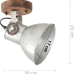 vidaXL Lámparas de pared/techo industrial 2 uds plateada 20x25 cm E27 Plateado Online
