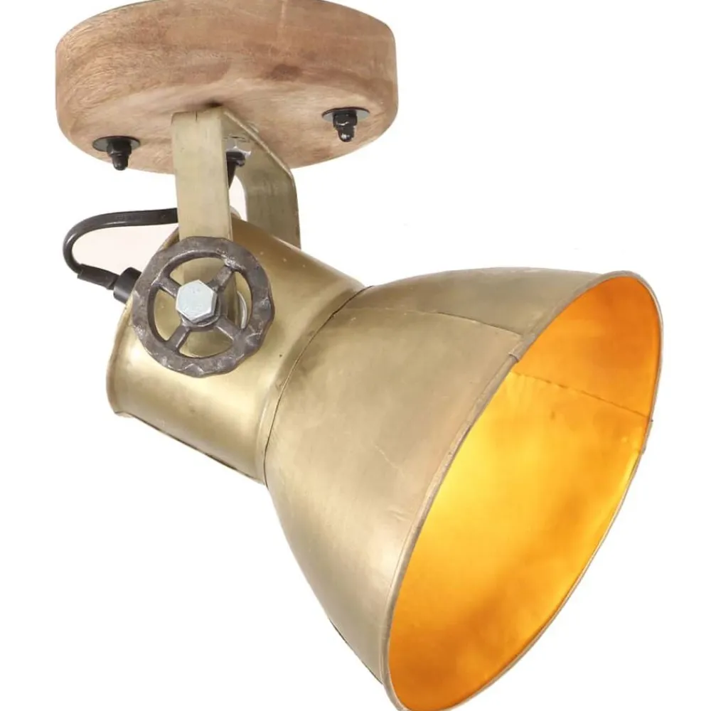 vidaXL Lámparas de pared/techo industrial 2 uds latón 20x25 cm E27 Latón Online
