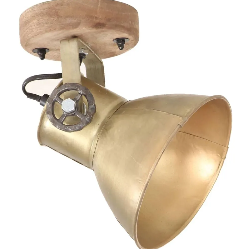vidaXL Lámparas de pared/techo industrial 2 uds latón 20x25 cm E27 Latón Online