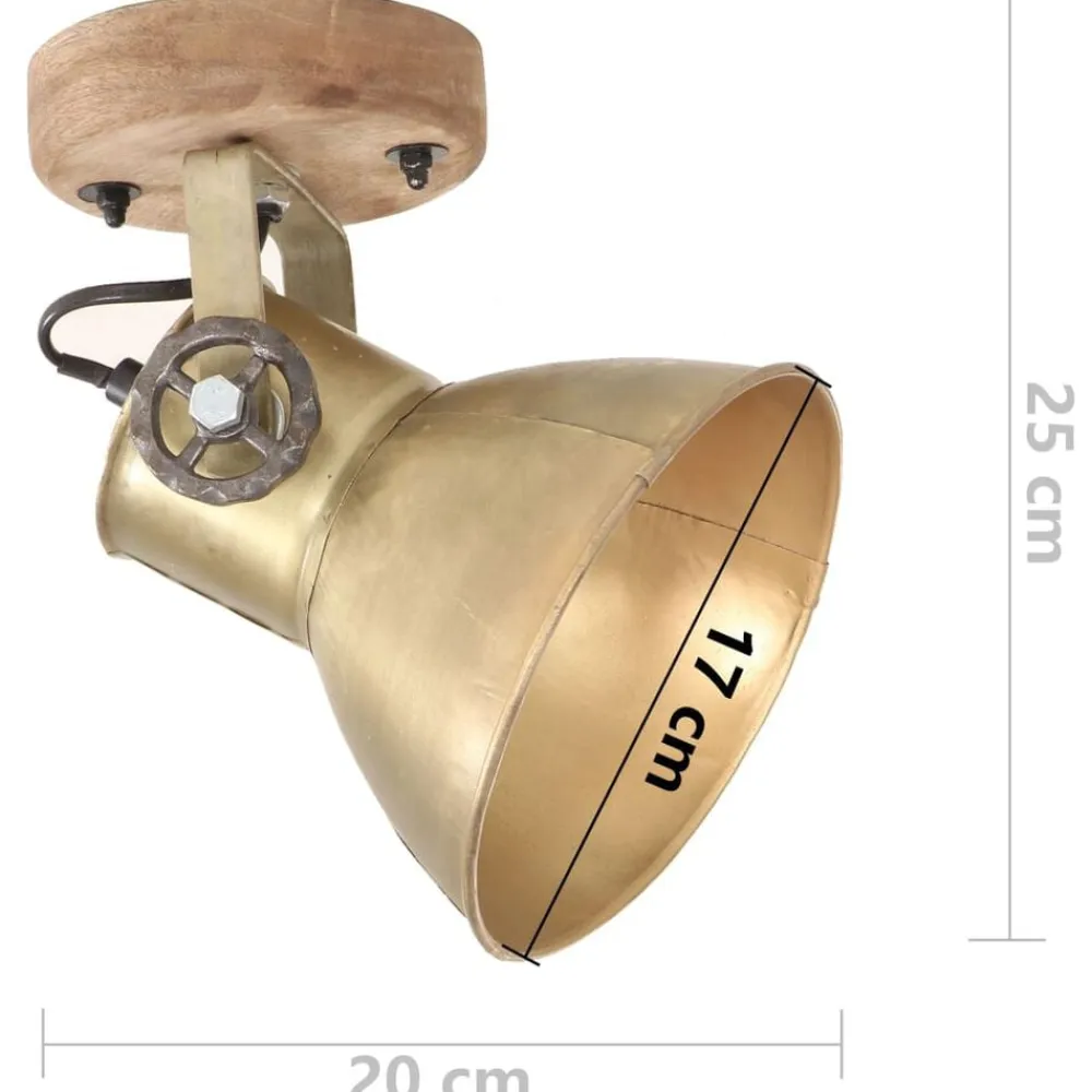 vidaXL Lámparas de pared/techo industrial 2 uds latón 20x25 cm E27 Latón Online