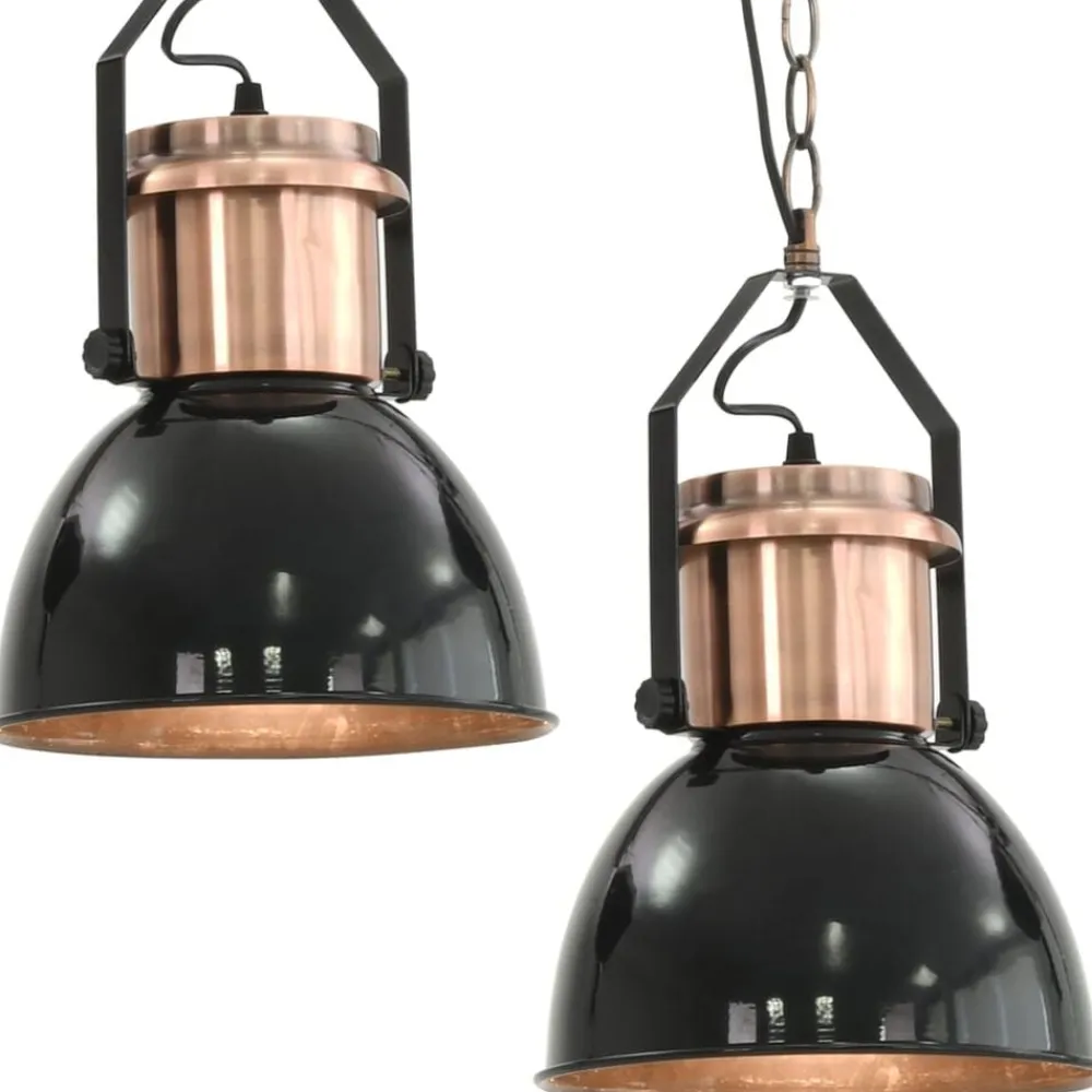 vidaXL Iluminación-Lámparas de techo 2 unidades redondas negro E27