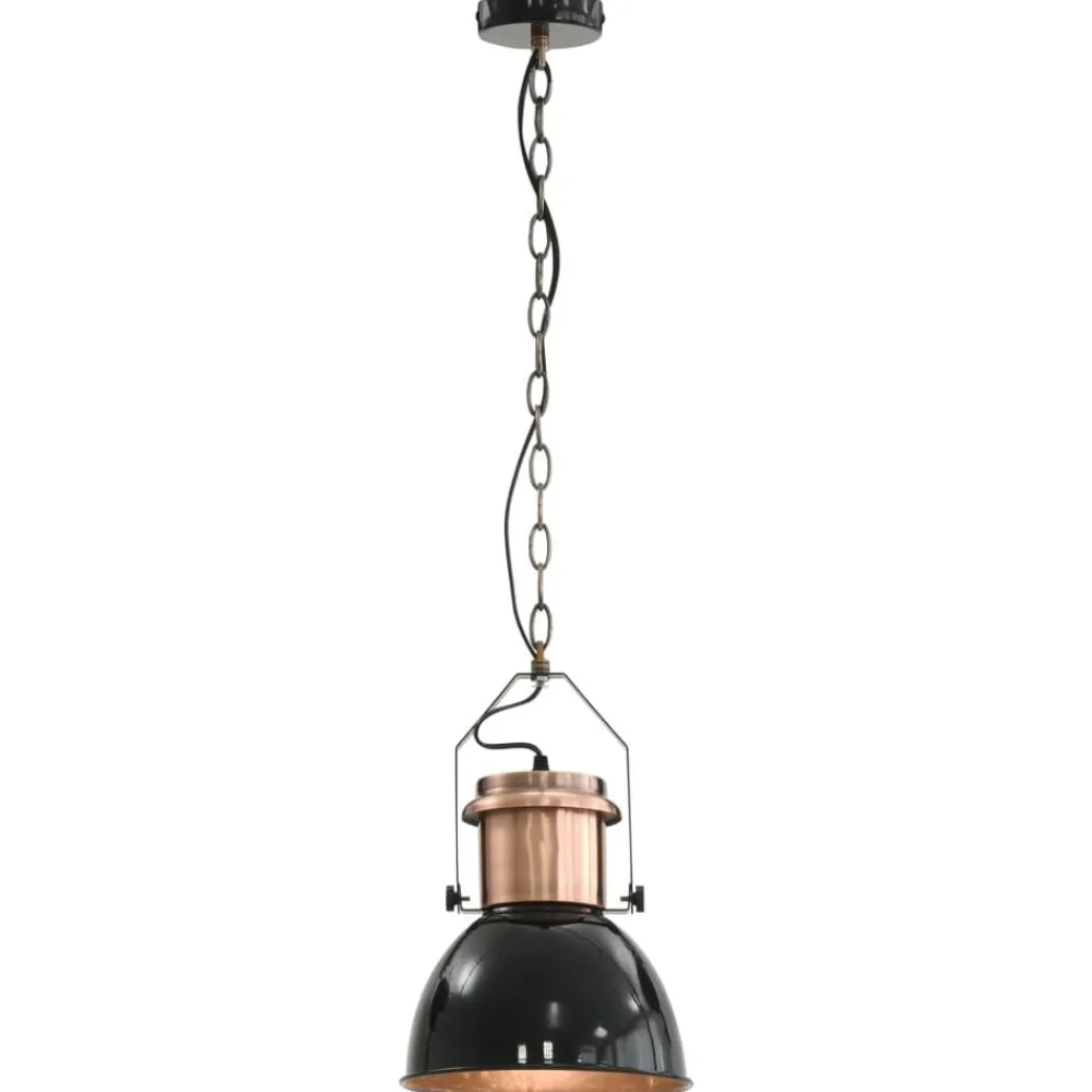 vidaXL Iluminación-Lámparas de techo 2 unidades redondas negro E27