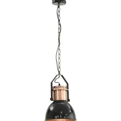 vidaXL Iluminación-Lámparas de techo 2 unidades redondas negro E27
