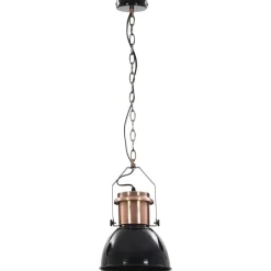 vidaXL Iluminación-Lámparas de techo 2 unidades redondas negro E27