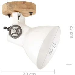 vidaXL Iluminación-Lámparas industriales de pared/techo 2 uds blanca 20x25 cm E27