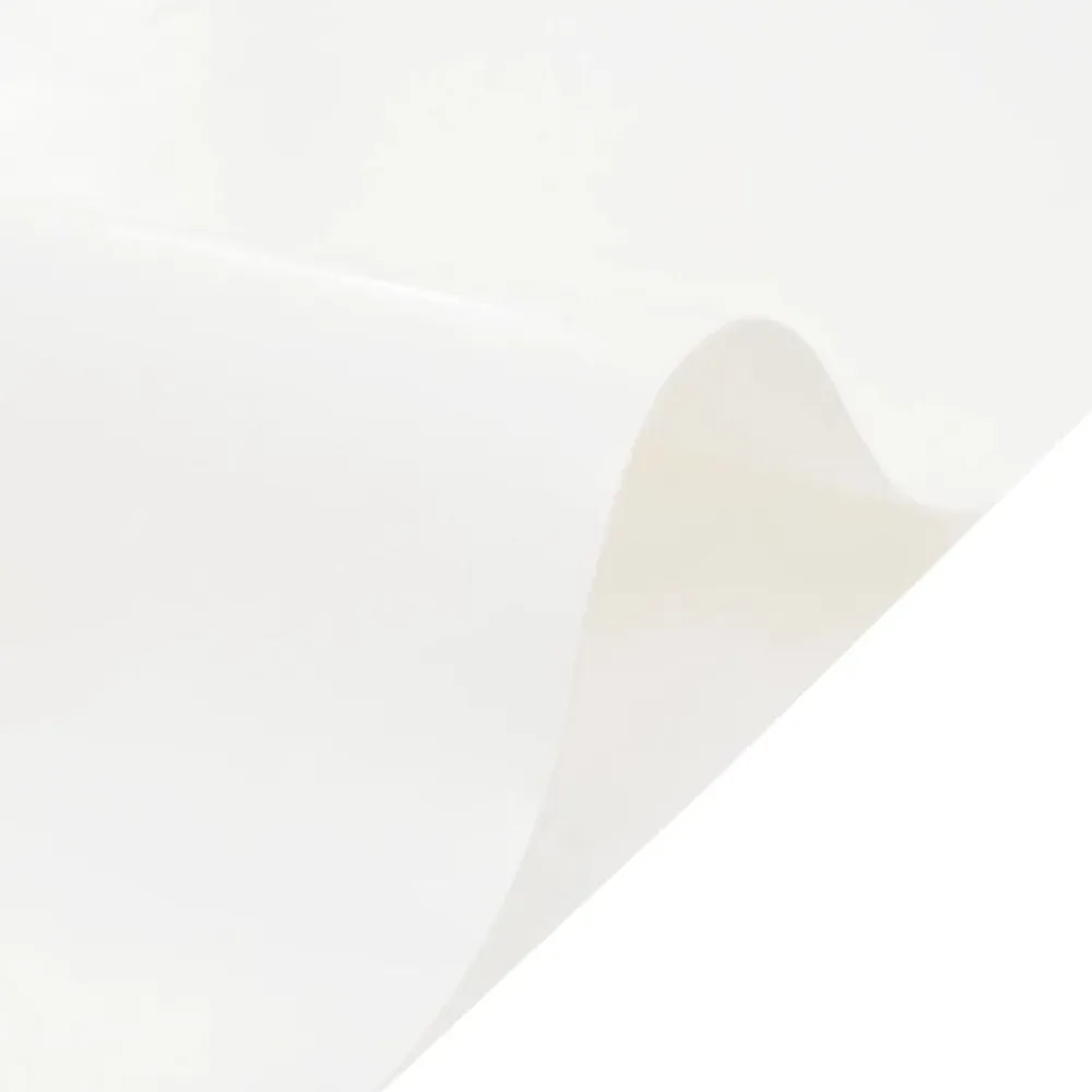 vidaXL Accesorios De Bricolaje-Lona blanca 2x3 m 650 g/m²