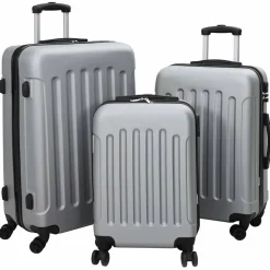 vidaXL Maleta 3 pcs 50 x 31 x 78 cm Plástico ABS Plateado Online