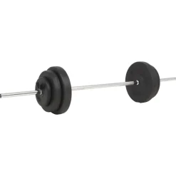 vidaXL Fitness Y Musculación-Mancuerna con discos 60 kg