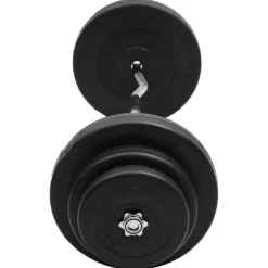 vidaXL Fitness Y Musculación-Mancuerna curl con discos 60 kg