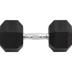 vidaXL Fitness Y Musculación-Mancuerna hierro fundido 20 kg