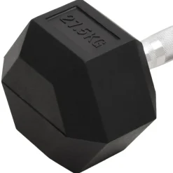 vidaXL Fitness Y Musculación-Mancuerna hierro fundido 27,5 kg