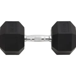 vidaXL Fitness Y Musculación-Mancuerna hierro fundido 22,5 kg