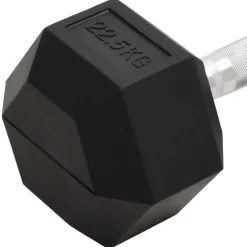 vidaXL Fitness Y Musculación-Mancuerna hierro fundido 22,5 kg