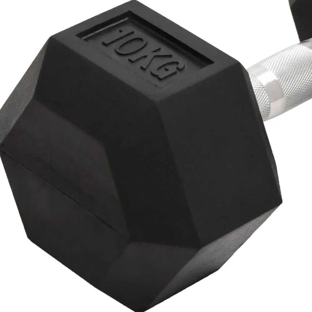 vidaXL Mancuernas 2 unidades total hierro fundido 20 kg Best