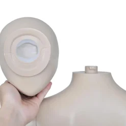 vidaXL Maniquí de mujer con cabeza redonda New