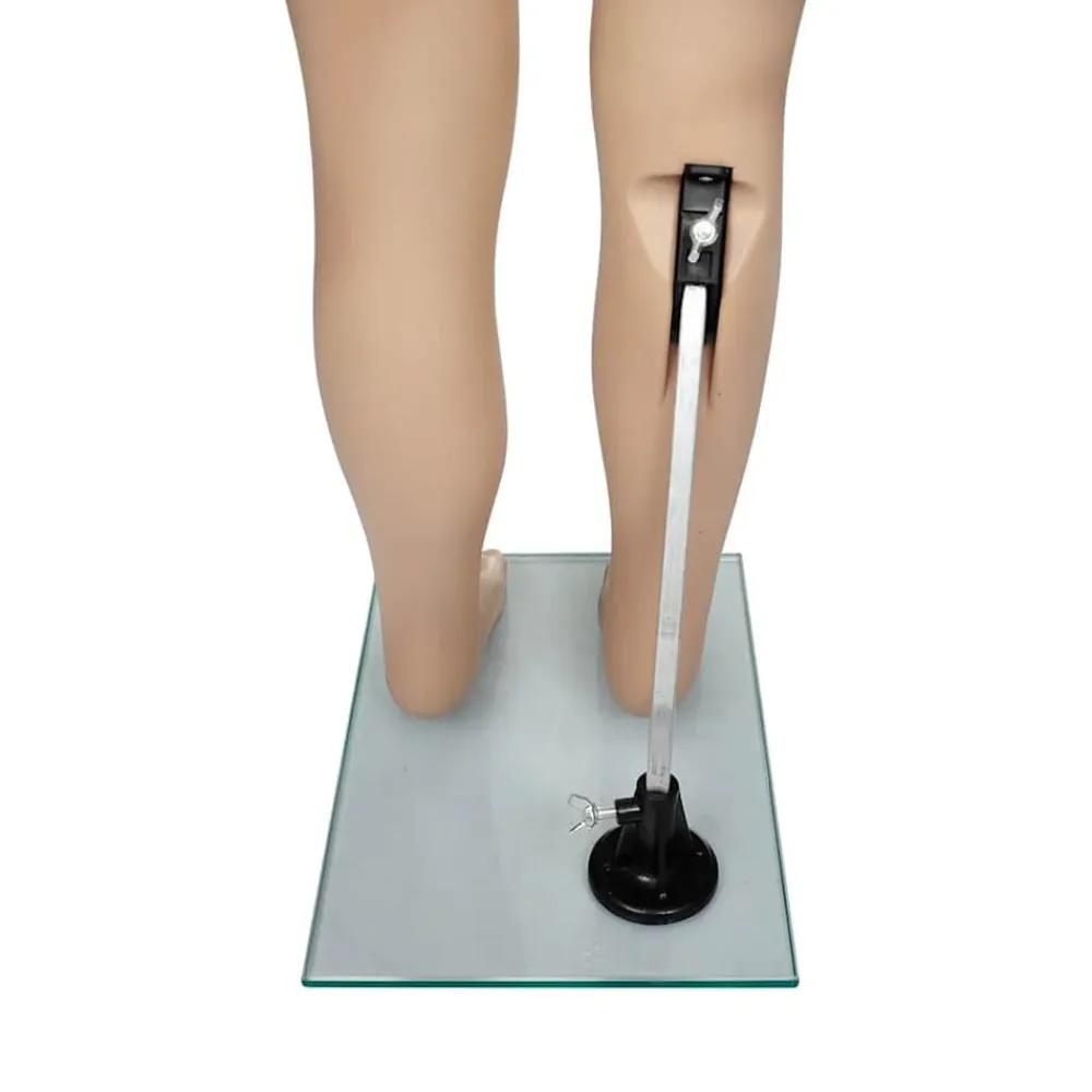 vidaXL Venta Al Por Menor-Maniquí de niño A
