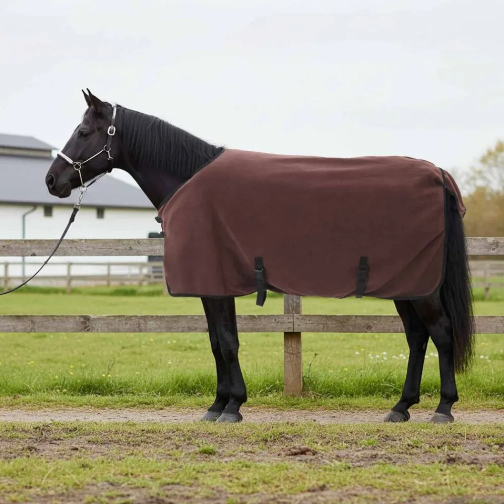 vidaXL Manta para Caballo Marrón Oscuro Completo Poliéster Marrón oscuro