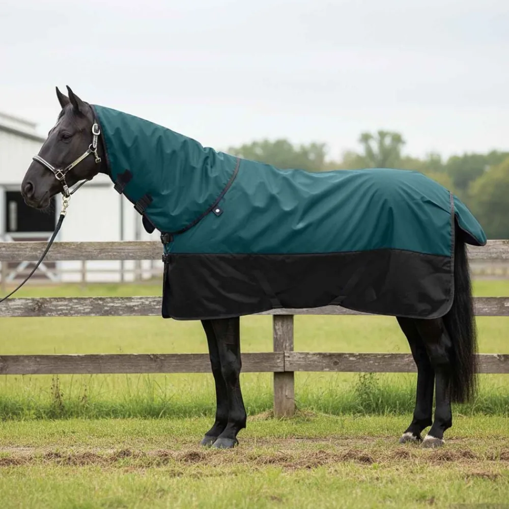 vidaXL Actividades Al Aire Libre-Manta para Caballo Verde Oscuro y Negro 75 cm Poliéster