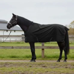 vidaXL Actividades Al Aire Libre-Manta para Caballo Verde Oscuro y 75 cm Poliéster