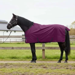 vidaXL Actividades Al Aire Libre-Manta para Caballo Verde Oscuro y Negro 75 cm Poliéster