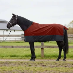 vidaXL Manta para Caballo Verde Oscuro y Negro 75 cm Poliéster Borgo&ntilde;a y Negro Outlet