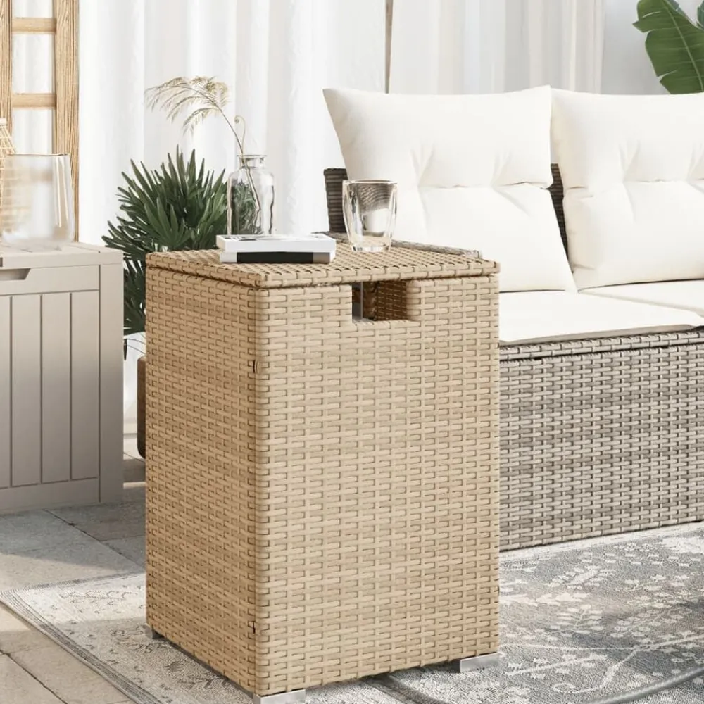 vidaXL Mesa cubierta para bombona de propano ratán 40x40x60 cm Beige