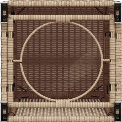 vidaXL Mesa cubierta para bombona de propano ratán 40x40x60 cm Beige