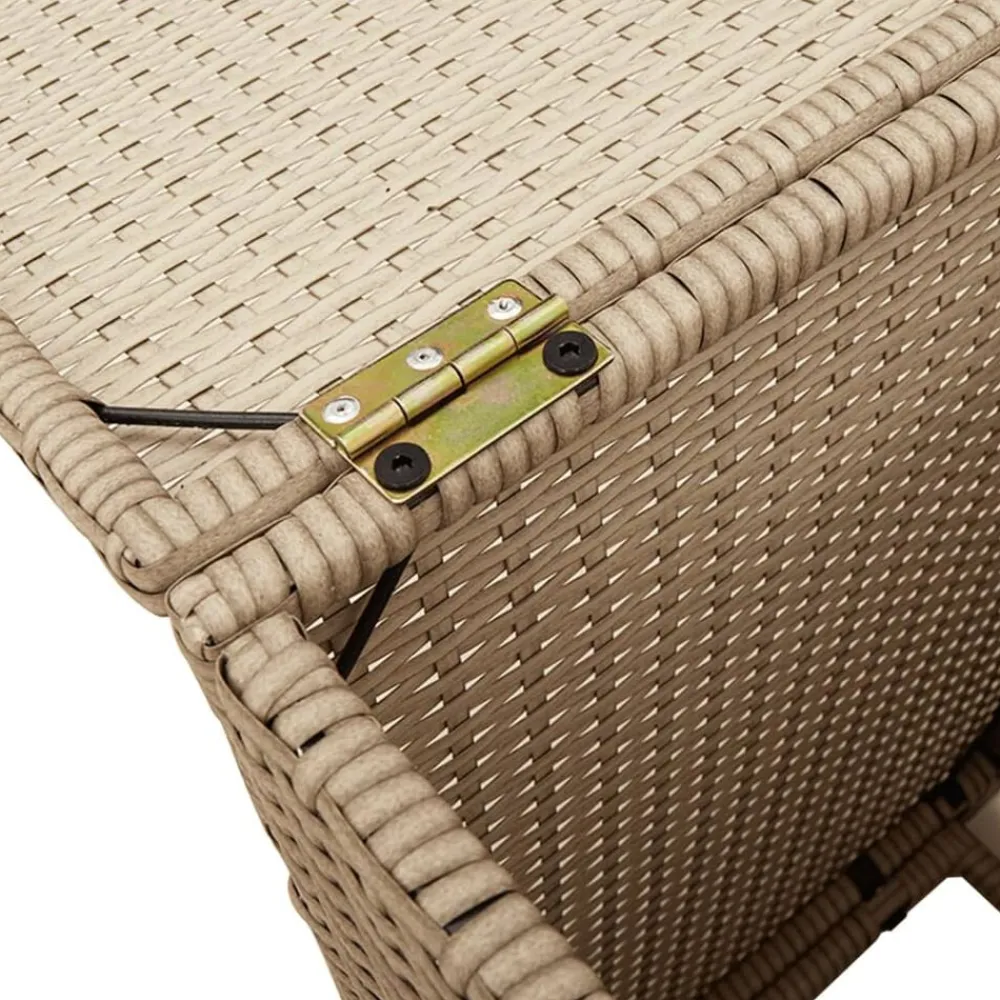 vidaXL Mesa cubierta para bombona de propano ratán 40x40x60 cm Beige
