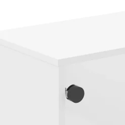 vidaXL Mesas-Mesa de centro con puertas de vidrio blanca 68,5x50x50 cm