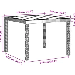 vidaXL Mesa de Jardín 100 x 100 x 73 cm ratán sintético Antracita Hot