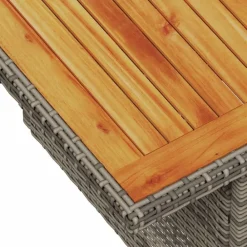 vidaXL Muebles De Jardín-Mesa de jardín ratán PE y madera de acacia 100x55x73 cm