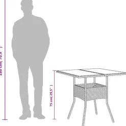 vidaXL Muebles De Jardín-Mesa de jardín superficie de vidrio ratán PE 80x80x75 cm