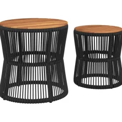 vidaXL Muebles De Jardín-Mesas auxiliares jardín 2 pzas superficie de madera ratán