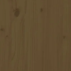 vidaXL Estructuras Para Juegos Al Aire Libre-Mesas de arena 2 uds madera maciza de pino marrón miel