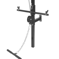 vidaXL Máquina de musculación de pared con discos de peso 40 kg Online