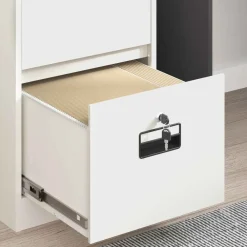 vidaXL Armarios Y Almacenamiento-Mueble archivador 44 x 50 x 74,5 cm Acero Laminado en Frío
