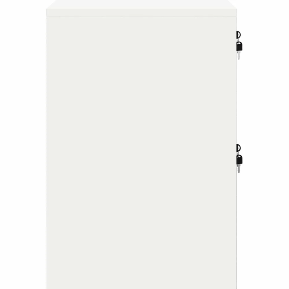 vidaXL Armarios Y Almacenamiento-Mueble archivador 44 x 50 x 74,5 cm Acero Laminado en Frío
