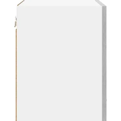 vidaXL Mueble colgante con puerta 2 pcs y 40 x 31 x 40 cm Gris sonoma Online