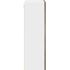 vidaXL Armarios Y Almacenamiento-Mueble colgante con puerta 60 x 31 x 100 cm