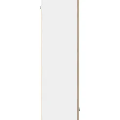 vidaXL Armarios Y Almacenamiento-Mueble colgante con puerta Roble Sonoma 40 x 31 x 100 cm