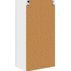 vidaXL Armarios Y Almacenamiento-Mueble colgante con puerta y 50 x 31 x 100 cm