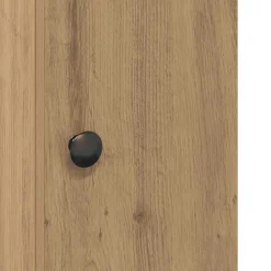 vidaXL Conjuntos De Muebles-Mueble de baño con portarrollos 20,5x22x72 cm