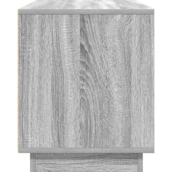 vidaXL Mueble de TV con luces LED Sonoma gris 100x41x50 cm Gris sonoma New