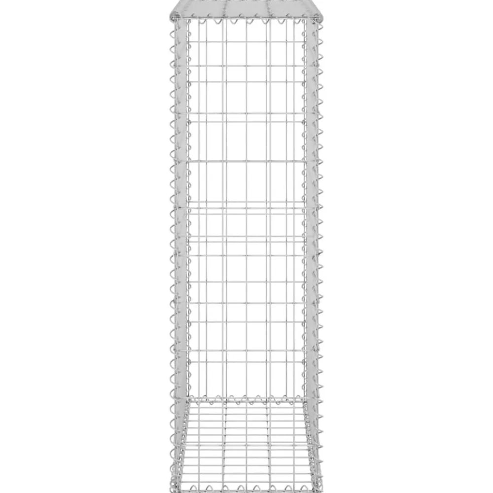 vidaXL Muro de gaviones con cubiertas acero galvanizado 60x30x100 cm Online