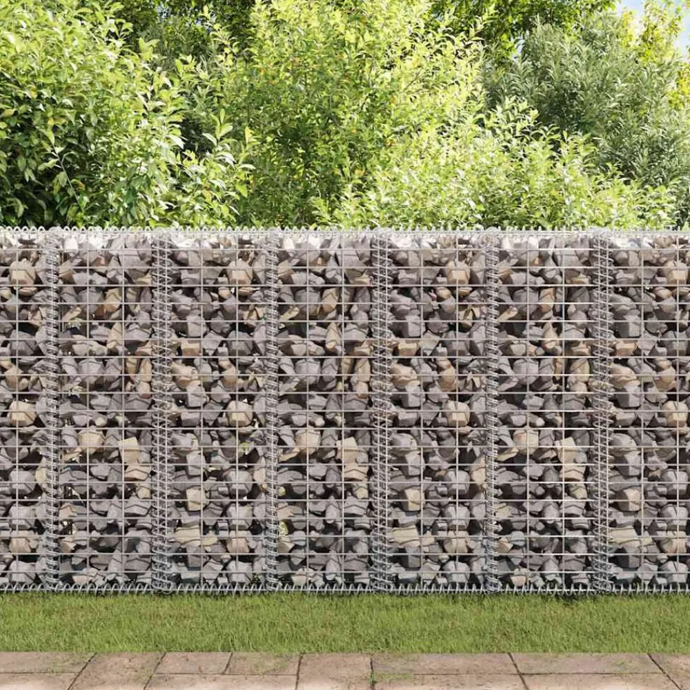 vidaXL Vallas De Jardín-Muro de gaviones con cubiertas acero galvanizado 20x20x100 cm