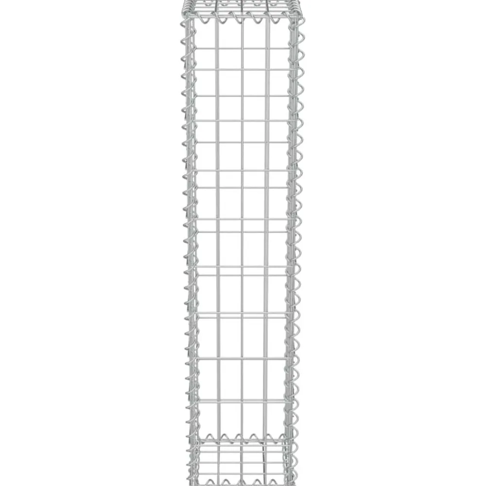 vidaXL Vallas De Jardín-Muro de gaviones con cubiertas acero galvanizado 20x20x100 cm