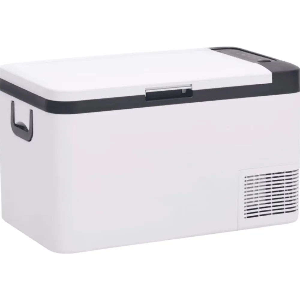 vidaXL Cocina Y Comedor-Nevera con asa y adaptador PP y PE negro y blanco 25 L
