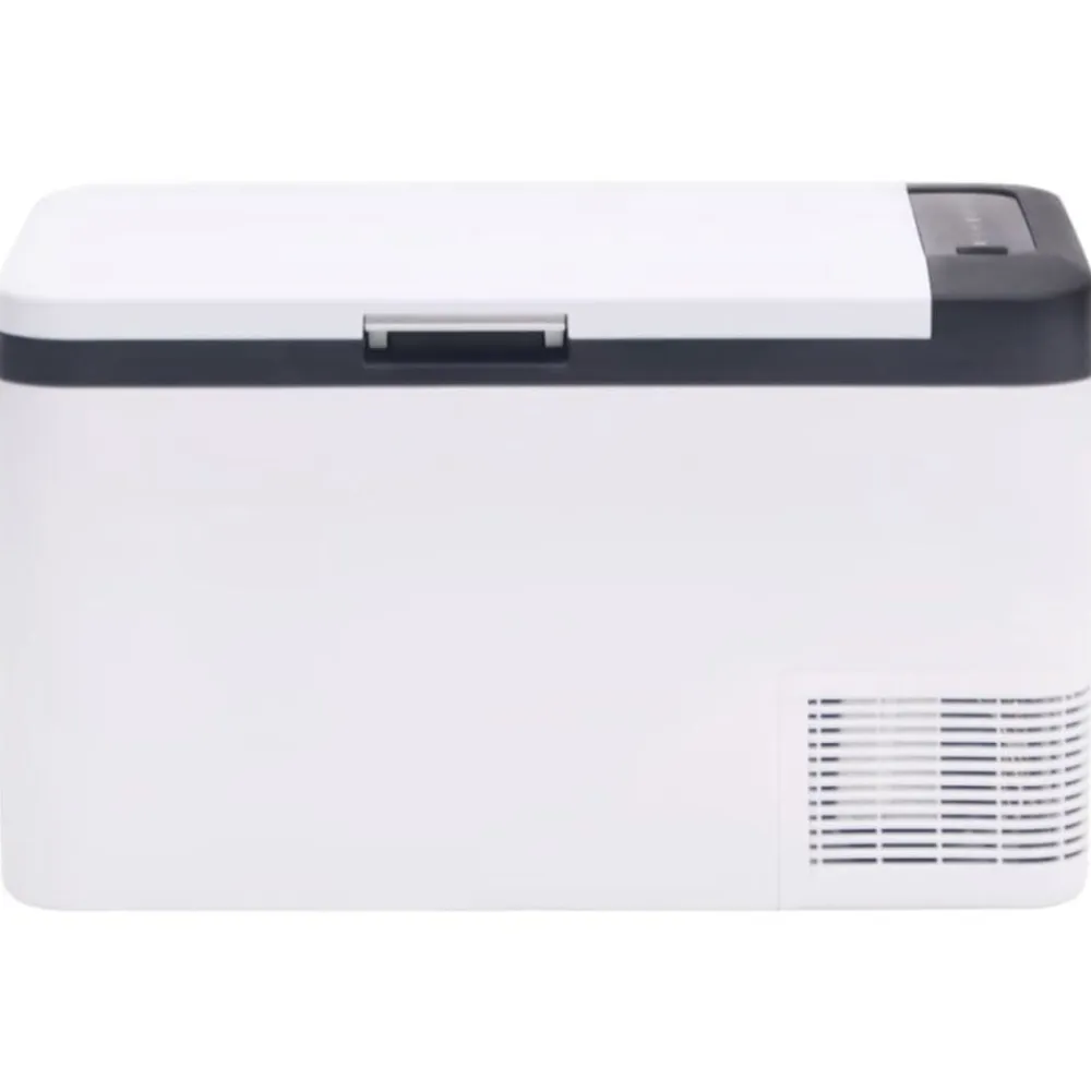 vidaXL Cocina Y Comedor-Nevera con asa y adaptador PP y PE negro y blanco 25 L