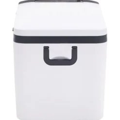 vidaXL Cocina Y Comedor-Nevera con asa y adaptador PP y PE negro y blanco 25 L