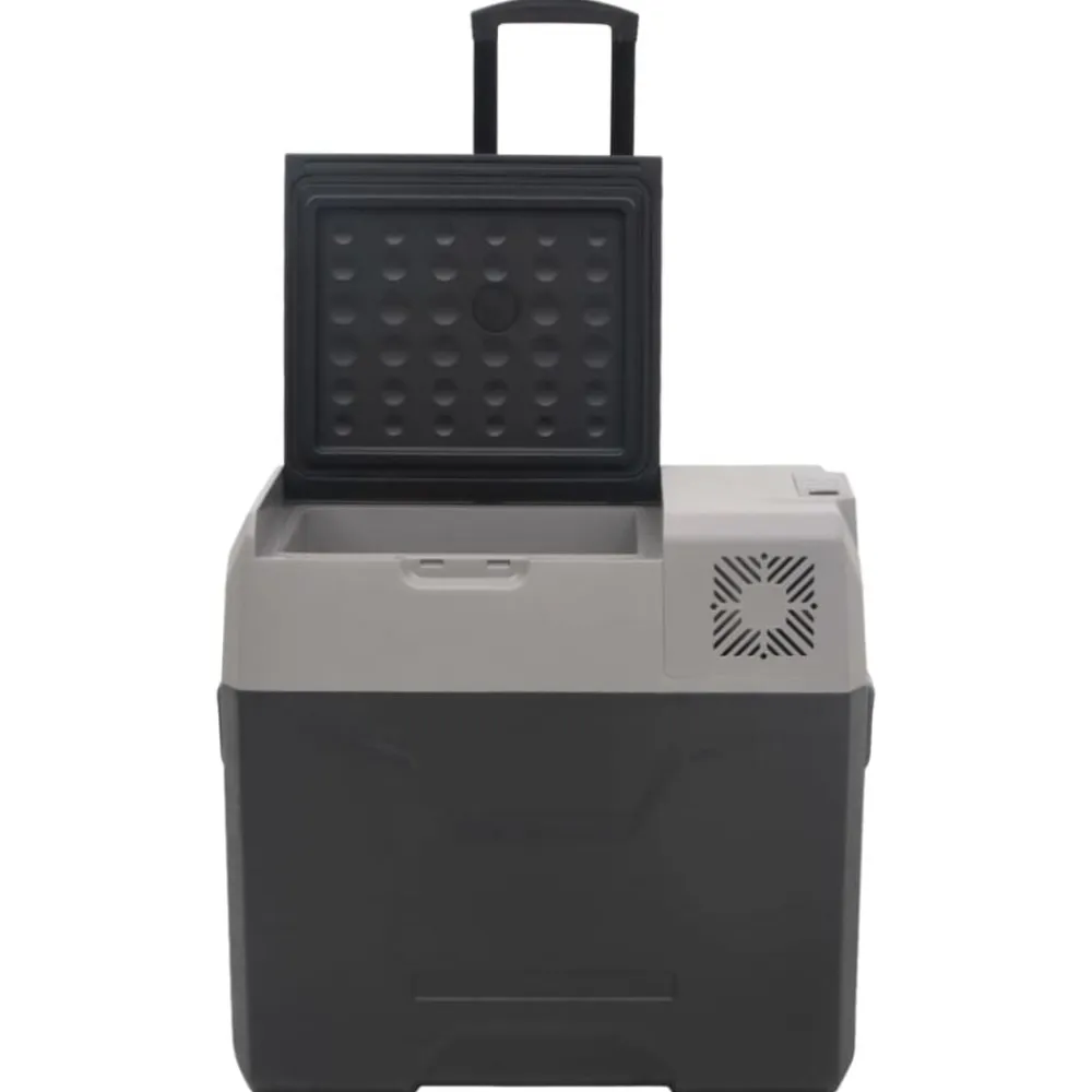vidaXL Nevera con ruedas y asa polipropileno negro y gris 40 L Online